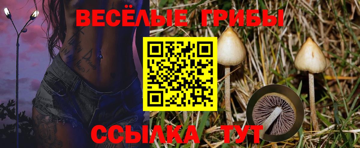 Галлюциногенные грибы мухоморы  Вход с VPN  Омск 